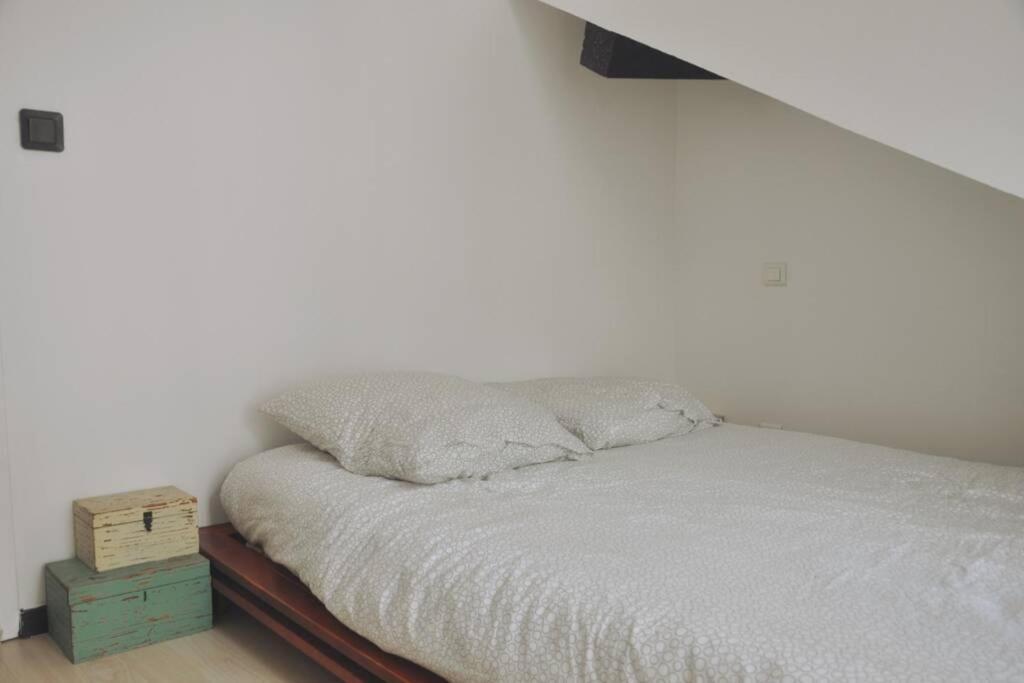 Appartement Duplex avec belle térasse au centre de Bayonne Extérieur photo